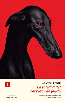 SOLEDAD DEL CORREDOR DE FONDO LA