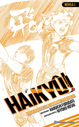 HAIKYU NOVELA N 01
