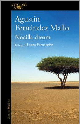 NOCILLA DREAM