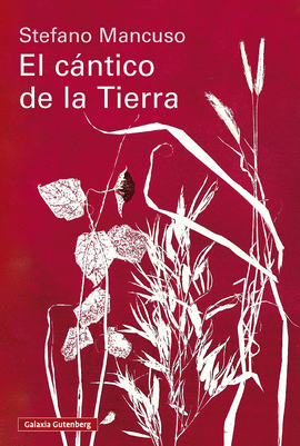 CANTICO DE LA TIERRA EL
