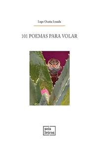 101 POEMAS PARA VOLAR