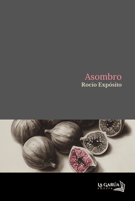 ASOMBRO