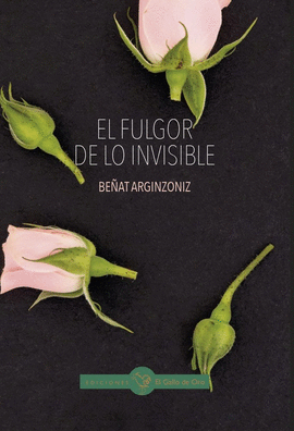 FULGOR DE LO INVISIBLE EL